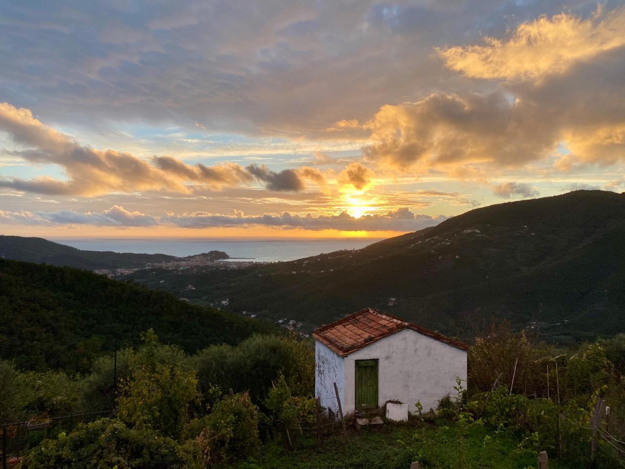 La Collina Sul Mare - Casa Vacanze 东塞斯特里 外观 照片